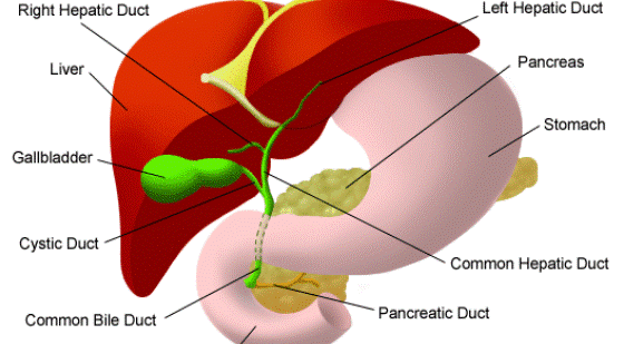 Hepatitis -B